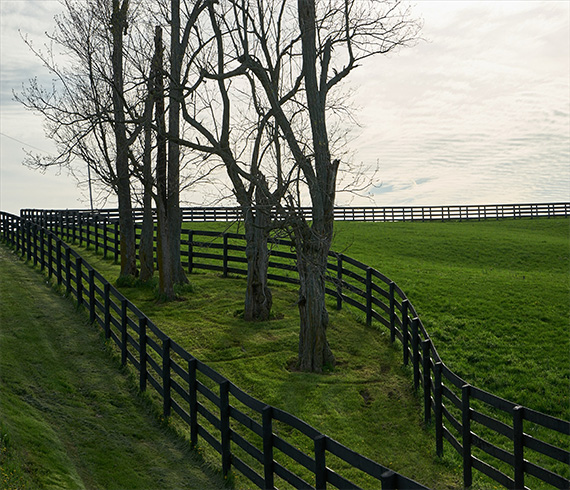 Home | Fencing and Landscaping, Allan Blocks, Chain Link, Grass ...